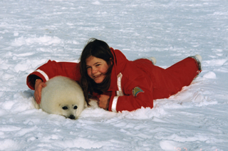 Seal Watch